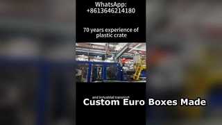 Producción personalizada de cajas Euro y contenedores VDA | Fábrica de contenedores logísticos de plástico OEM