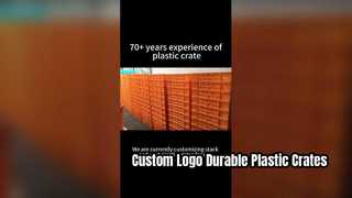 Cajas de plástico apiladas y encajadas personalizadas con serigrafía de logotipo | Solución de marca duradera para Logis