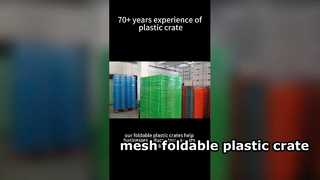 Embalaje de caja de plástico plegable de malla para una solución logística reutilizable que ahorra espacio para un cliente de EE. UU.