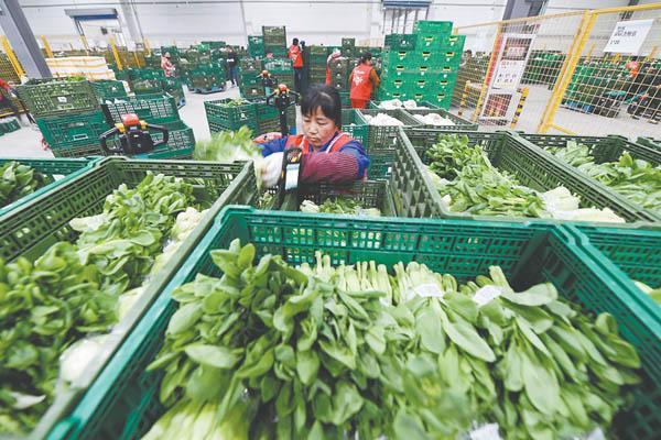 Últimos blogs de la empresa sobre Por qué las cajas de malla de 600×400×220 mm se están convirtiendo en el estándar para la entrega de productos frescos en 2026